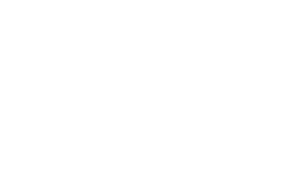 Favicon_Navy-200x137-01-01 – ICON